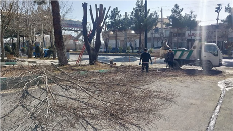 اجرای عملیات هرس و زیرگیری درختان فضای سبز بلوار ایثارگران توسط شهرداری لواسان